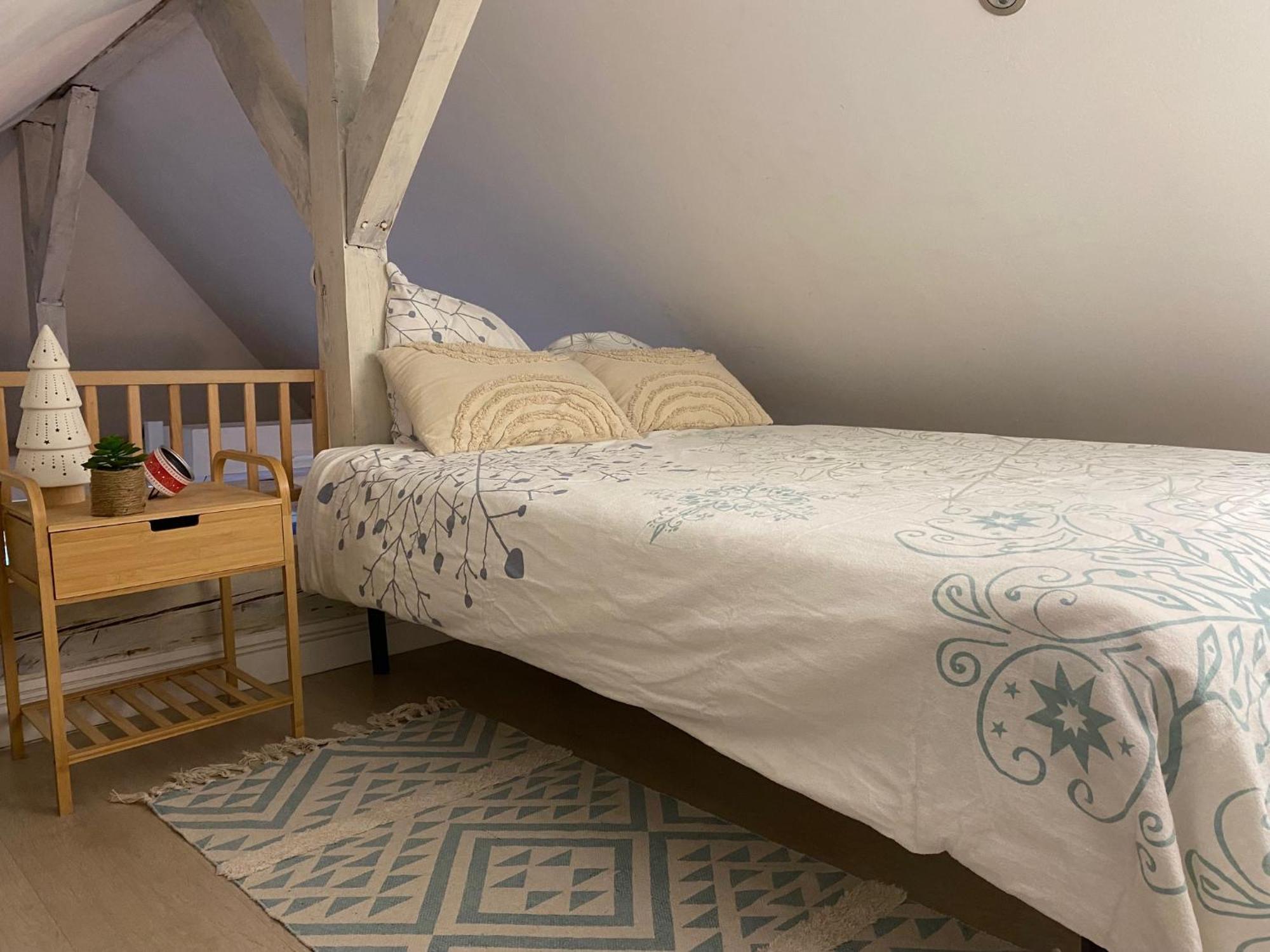 Duplex Spacieux Tout Confort Mulhouse Ngoại thất bức ảnh
